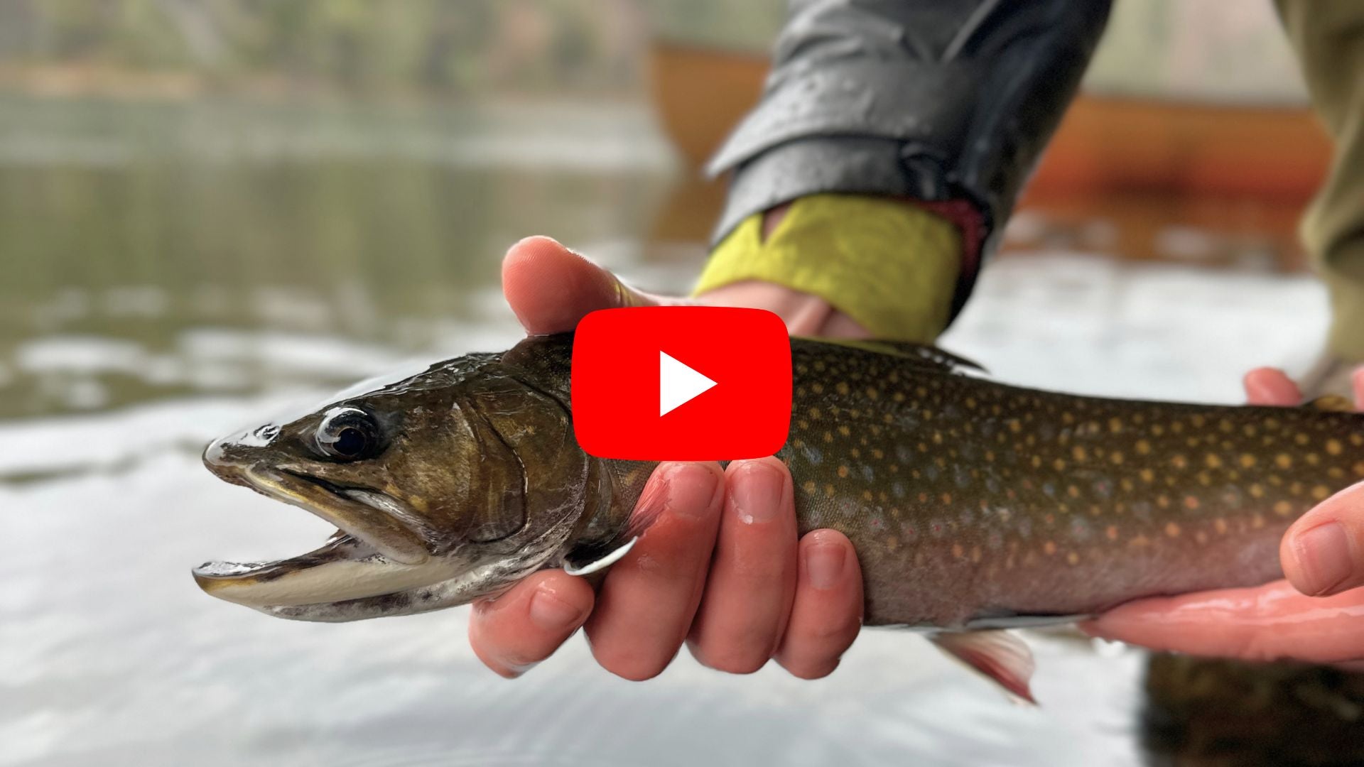 algonquin brook trout lures PAN Handmade way swivel or bottom bouncer Fly Fishing Algonquin Park: A