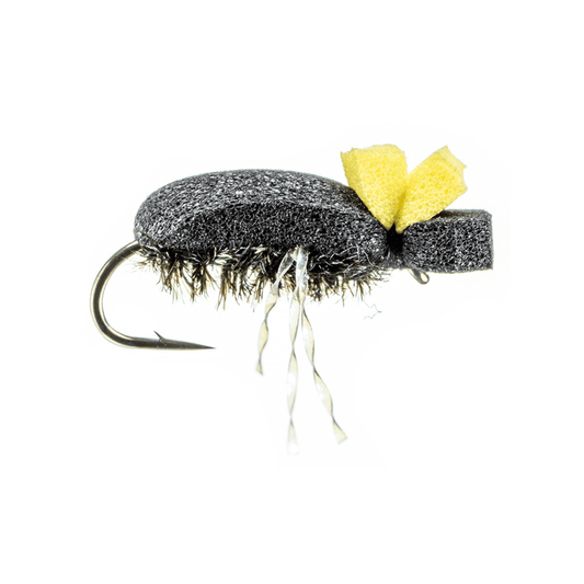 Foam Beetle
