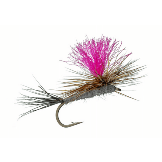 Hi-Vis Fl Pink Chute-Adams