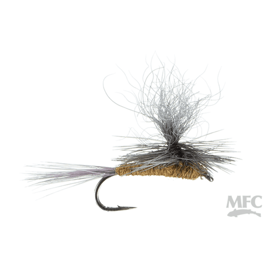 Parachute BWO