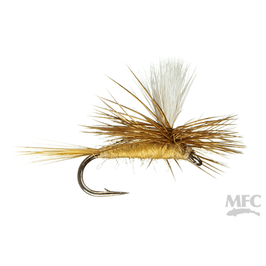 Parachute Sulphur