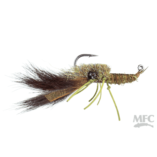 Saputos's Craw olive