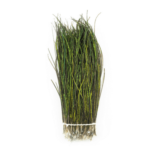 Shor - Strung Peacock Herl - 2.5 gr.