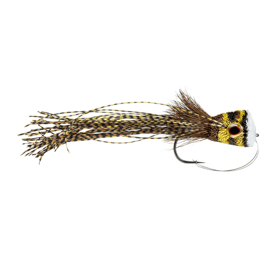 Goodale's Deerhair Frog