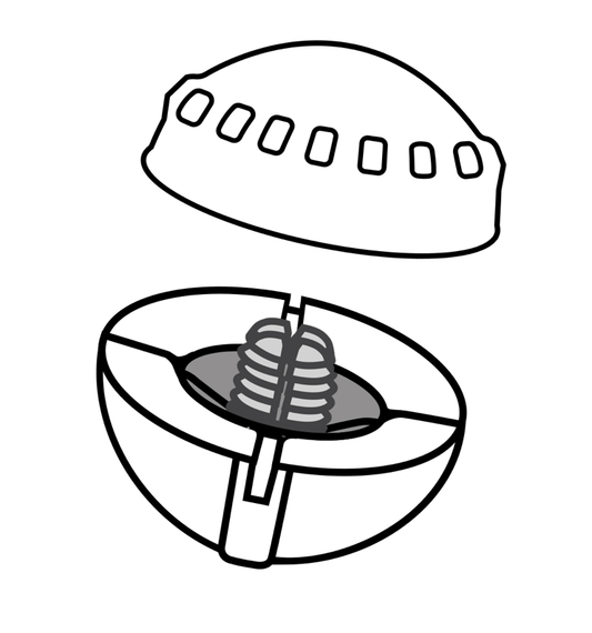 Airlock Centerlock 3 Pack.