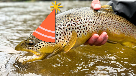 Southern Ontario Fishing Forecast - April 23rd