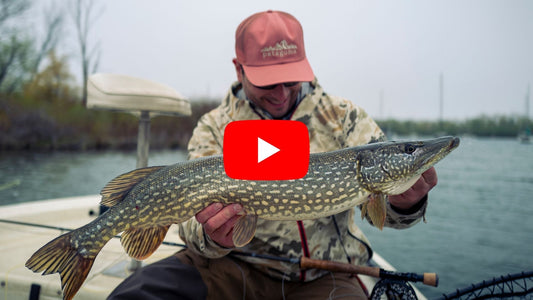 Ontario Fly Fishing Forecast: Trout, Musky, Pike & Carp Report for June 3