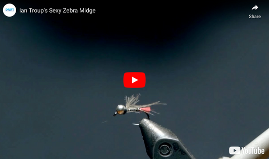 Ian's Sexy Zebra Midge