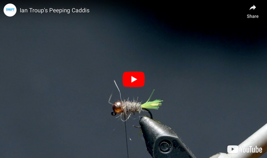 Ian's Peeping Caddis