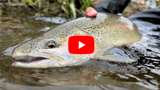 Southern Ontario Fishing Forecast for May 7th!