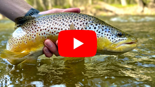 Southern Ontario Fishing Forecast - April 22nd!