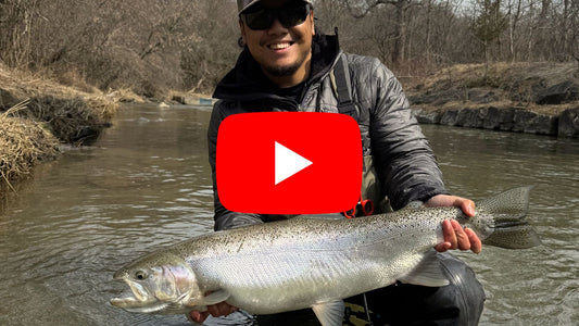 Can You Fish Steelhead This Weekend? - Southern Ontario Steelhead Fishing Forecast April 1st