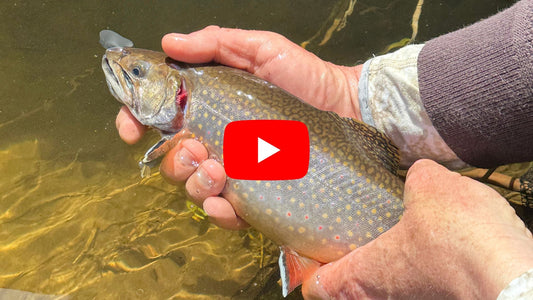 Southern Ontario Trout & Steelhead Fishing Forecast - April 29th
