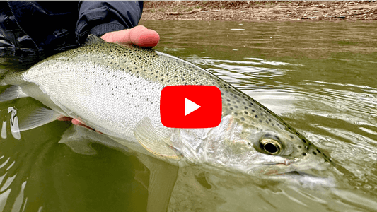 Your Southern Ontario Trout/Steelhead Opener Forecast!