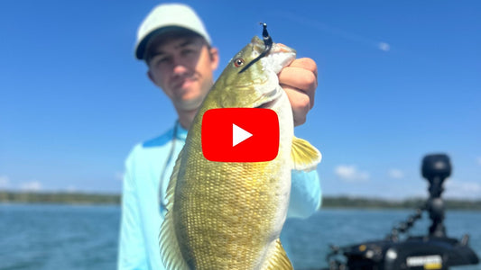 Best Bass Fly Fishing Lines for Spring 2026