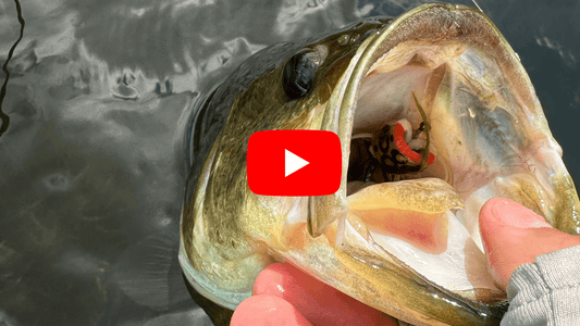 Southern Ontario Fly fishing Forecast for July 23rd!