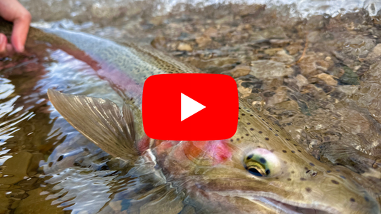 Southern Ontario Steelhead/River Fishing Forecast - March 11th, 2025