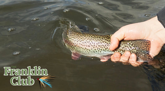FREE Fly Fishing Clinics w/ Team Canada