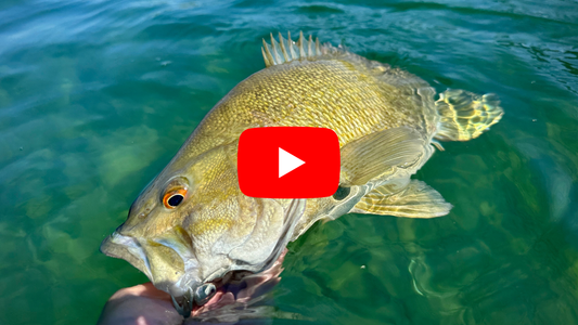 Ontario Fishing Forecast: Trout, Musky, & Carp Report for July 15th