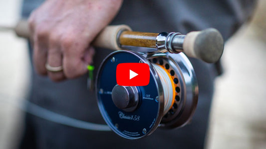 Why Is Everyone So Excited About the New Loop Classic X Reels?