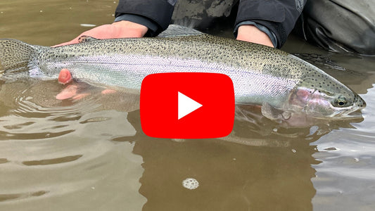 Steelhead Fishing is ON! - Southern Ontario Steelhead Fishing Forecast March 25th