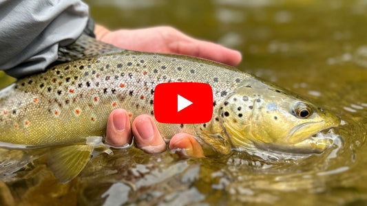 Southern Ontario Fishing Forecast May 27th
