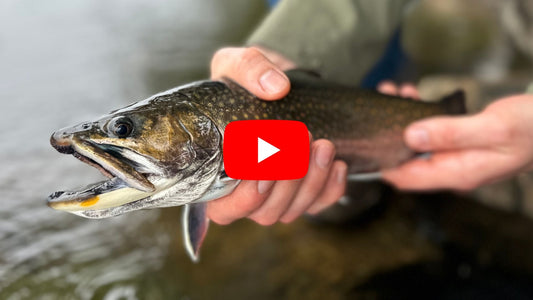 Trout, Pike, Carp & Steelhead - Southern Ontario Fishing Forecast for May 13th