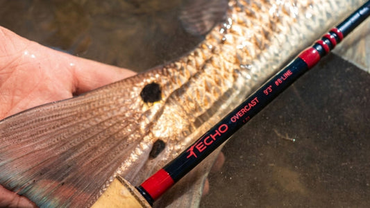 See Flip Pallot's Custom Designed Flats Fly Rod - Echo Overcast