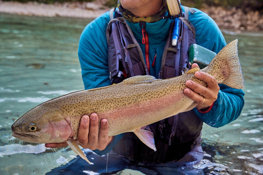 Experience Trophy Trout & Grayling in 3 Different European Countries!