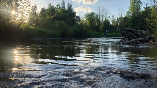 a guide to starting fly fishing!