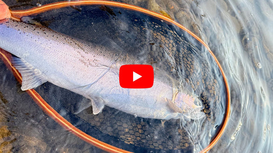 Thanksgiving Fishing Forecast for Southern Ontario - October 7th 2026