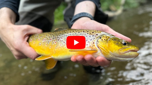 Where to Go Fishing In Southern Ontario This Weekend - September 9th, 2026