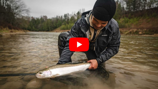 October Steelhead Season Is Here - Fishing Forecast for September 30th!