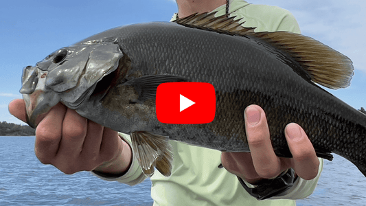 Southern Ontario Fly fishing Forecast for August 20th!