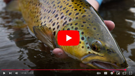 A Grand River Fly fishing Masterclass!