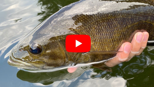 Southern Ontario Fly Fishing Forecast for June 18th!