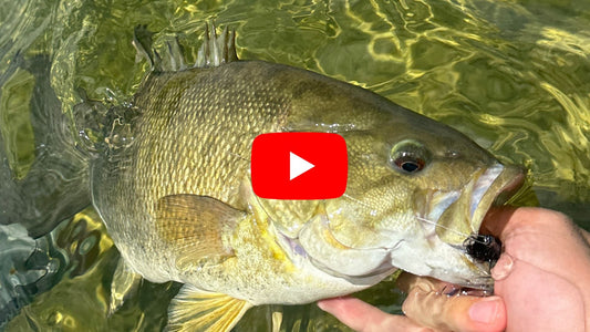 Southern Ontario Fly fishing Forecast for July 9th!