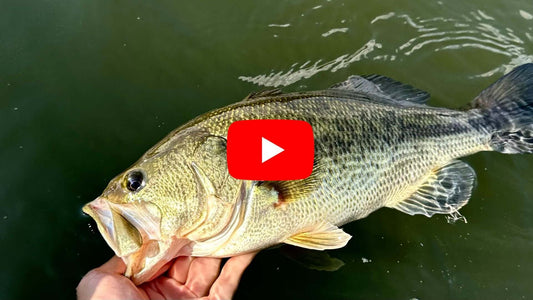 Southern Ontario Fly fishing Forecast for July 30th!