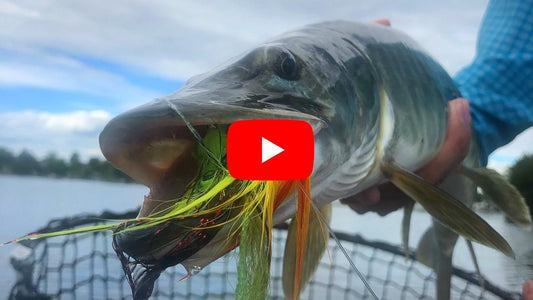 Southern Ontario Fishing Forecast for June 4th!