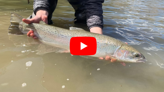 Your Southern Ontario Fishing Forecast - March 26th