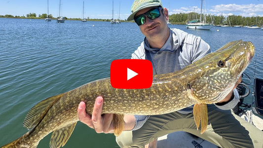 Ontario Fishing Forecast: Trout, Musky, Pike & Carp Report for June 10th