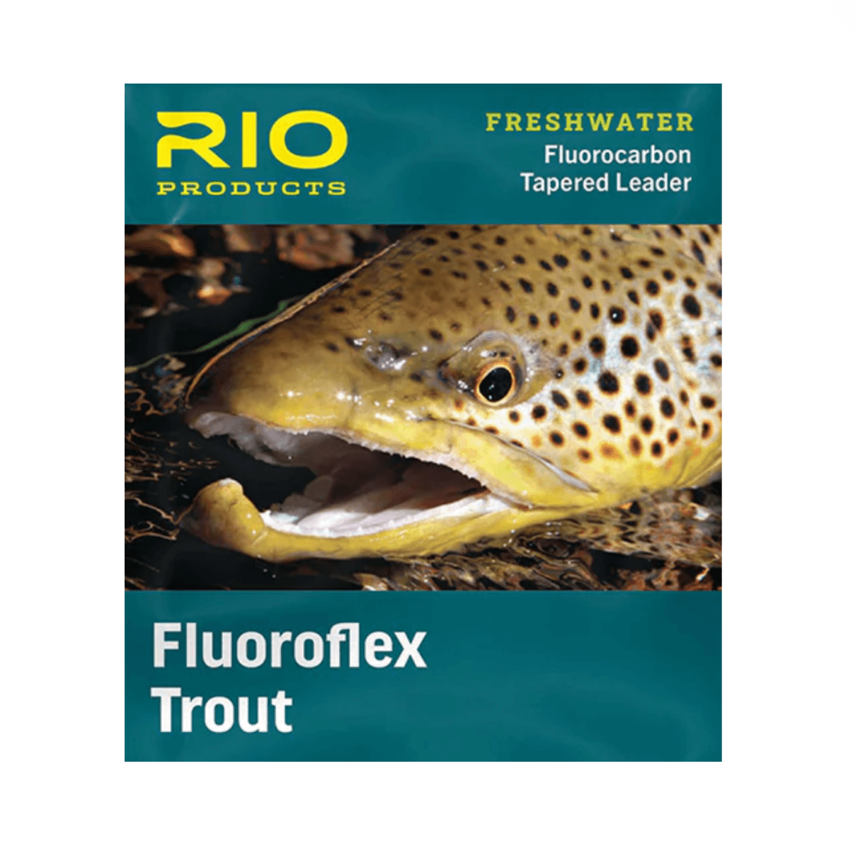 Fluorocarbon Leaders
