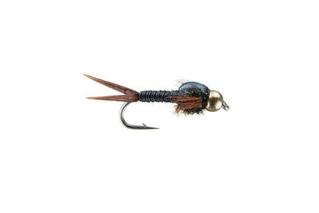 BH Epoxyback Copper Nymph - Black