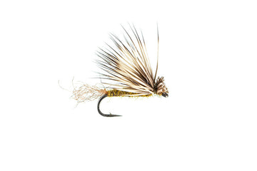 X-Caddis Olive