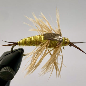 Beadhead Stonefly Nymph