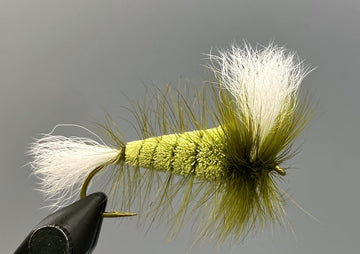 Wulff Bomber - Olive Body - Olive Hackle - White WIngs