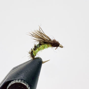 Silverman's Caddis Larva