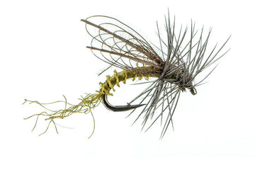 CDC Winged Emerger BWO