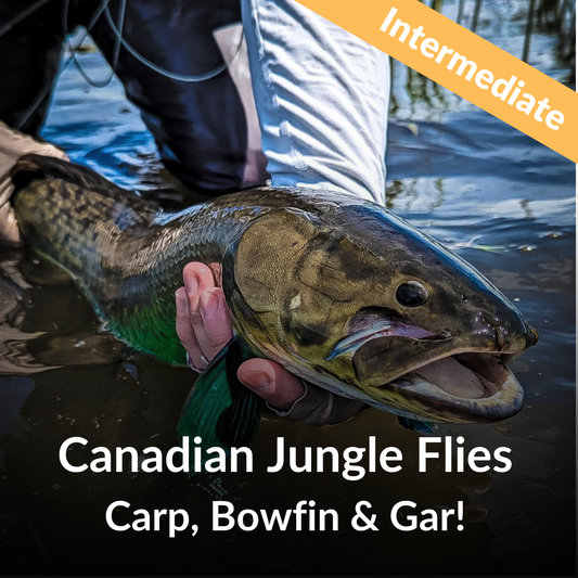 Canadian Jungle Flies w/ Matt Martin - Sat Jan 18th, 1pm