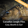 Canadian Jungle Flies w/ Matt Martin - Sat Jan 18th, 1pm